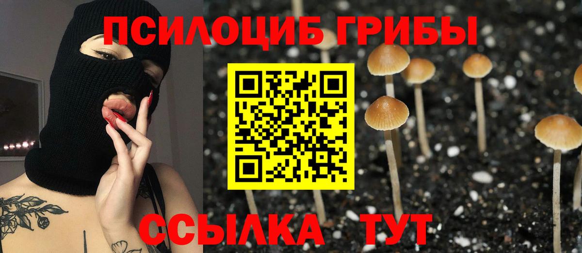 Галлюциногенные грибы мицелий Александров